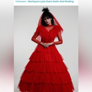 Lydia deetz costume size xl